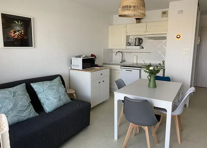 Appartement F2 Avec Balcon, A 2 Pas De La Plage, Parking Prive, Animaux Admis - Fr-1-482-113