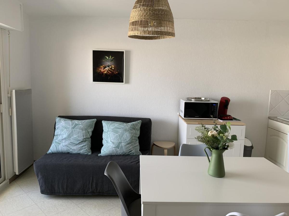 Apartment F2 Avec Balcon, A 2 Pas De La Plage, Parking Prive, Animaux Admis - Fr-1-482-113 *
